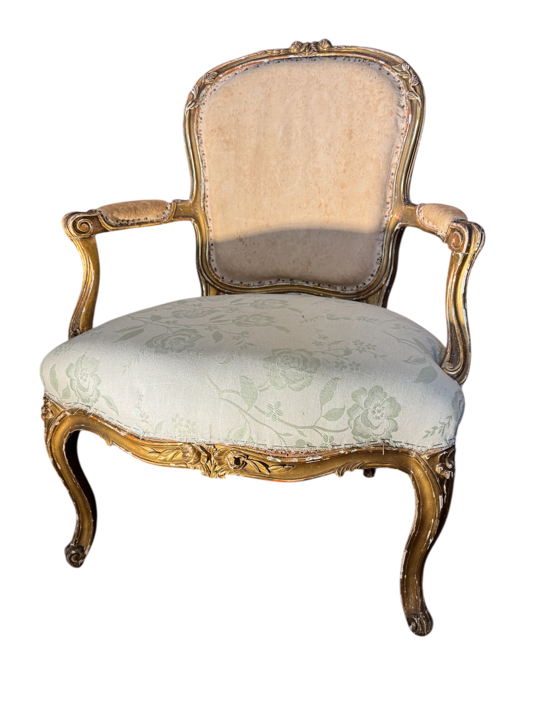 Photoroom_20251106_110627