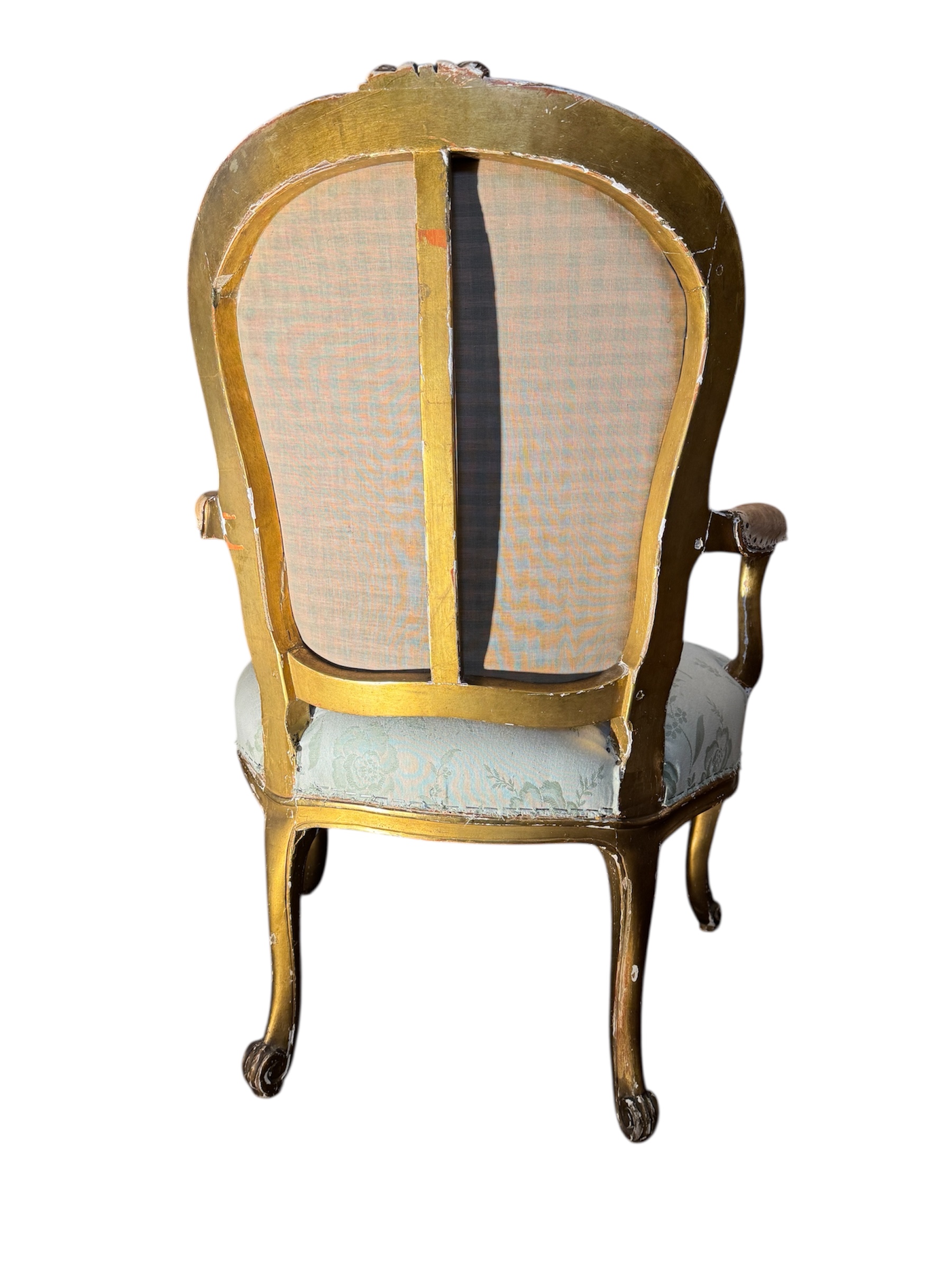 Photoroom_20251106_110654