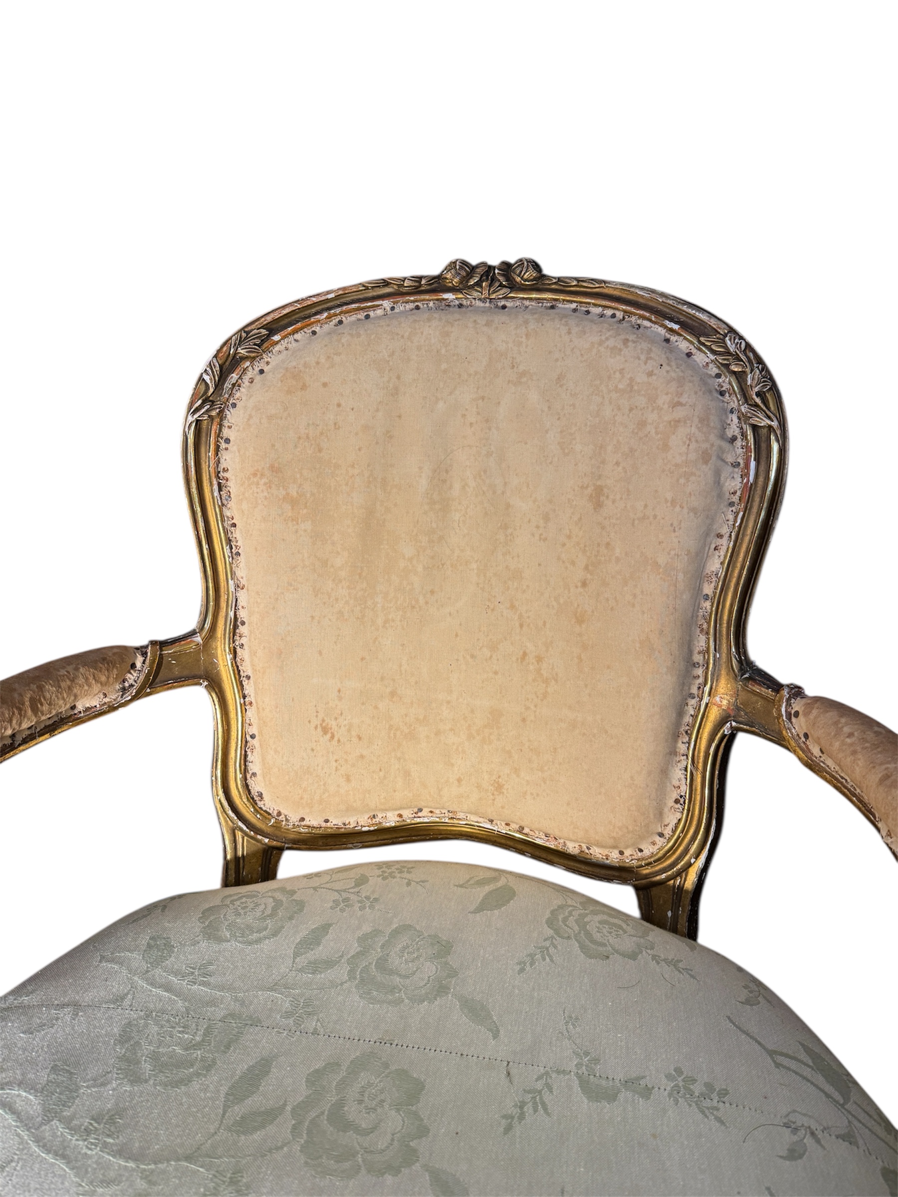 Photoroom_20251106_110714