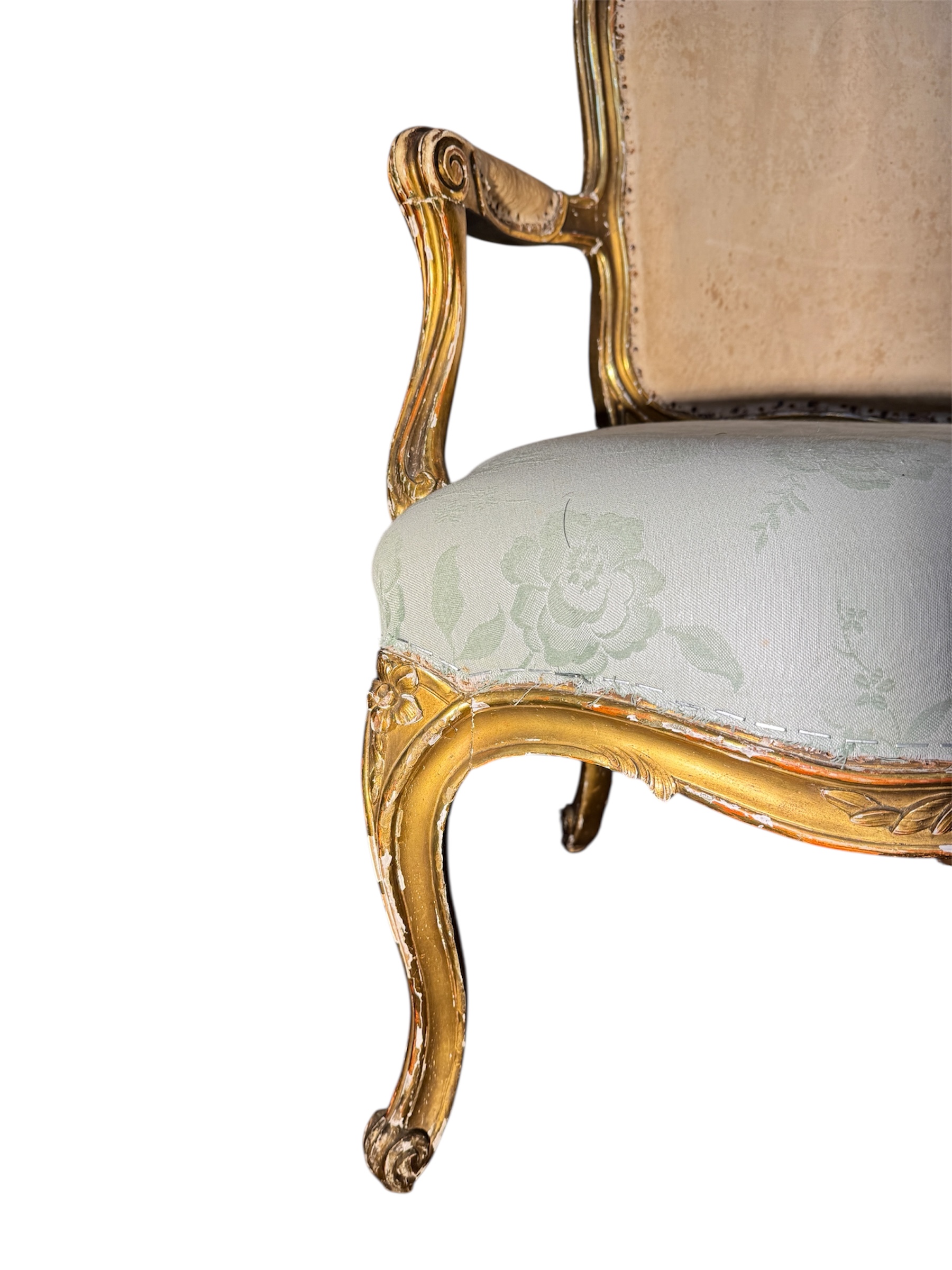 Photoroom_20251106_110829