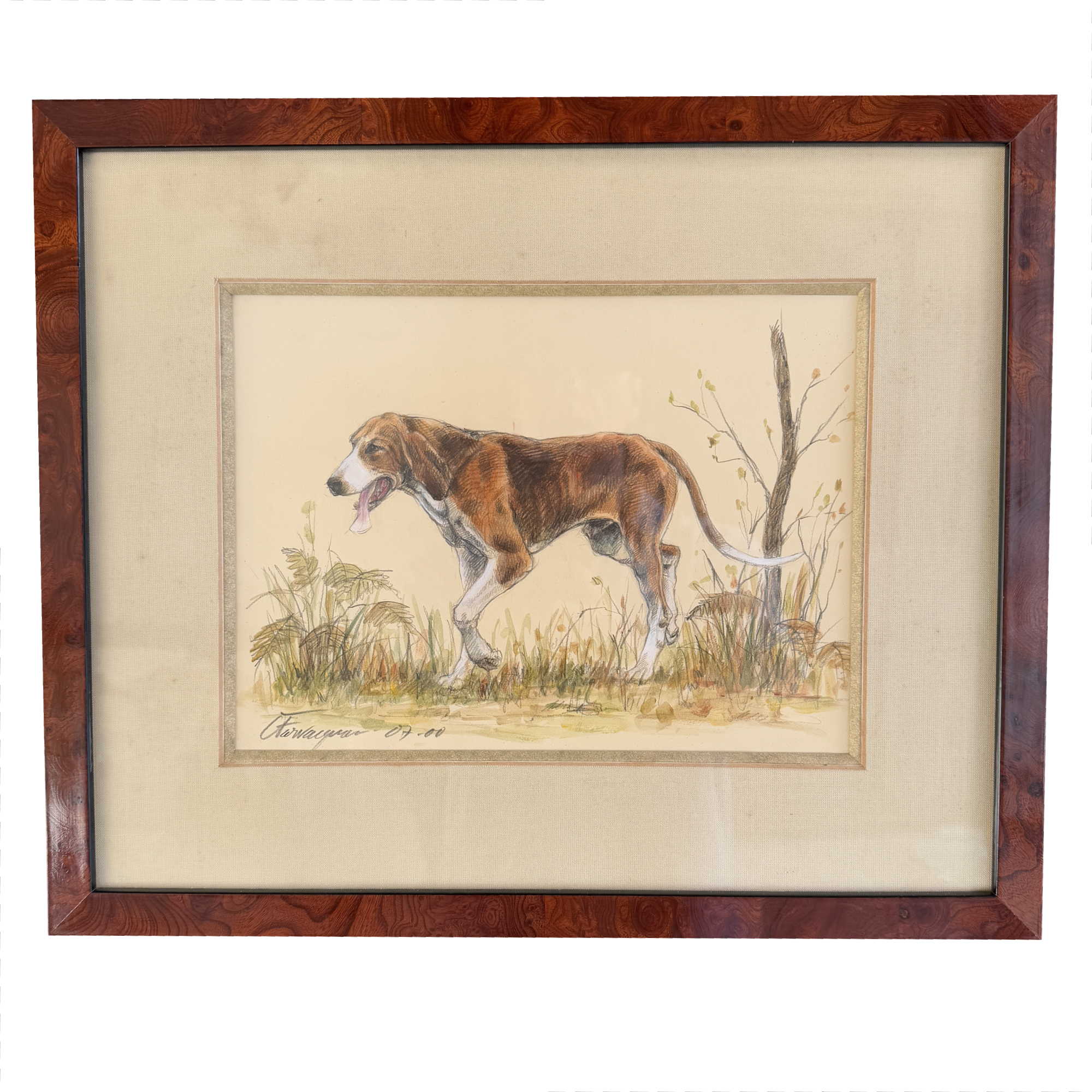 Catherine Farvacques aquarelle chien de chasse